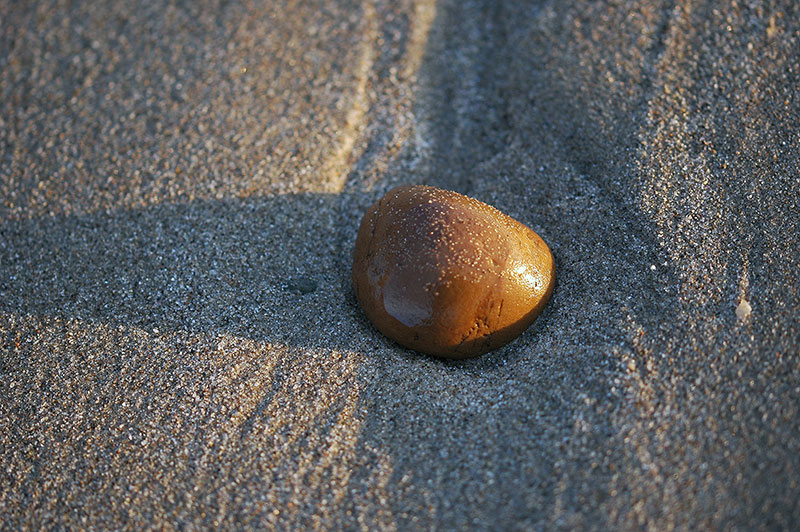 Hollywood Beach Rock