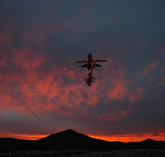 Last Flight at Sunset