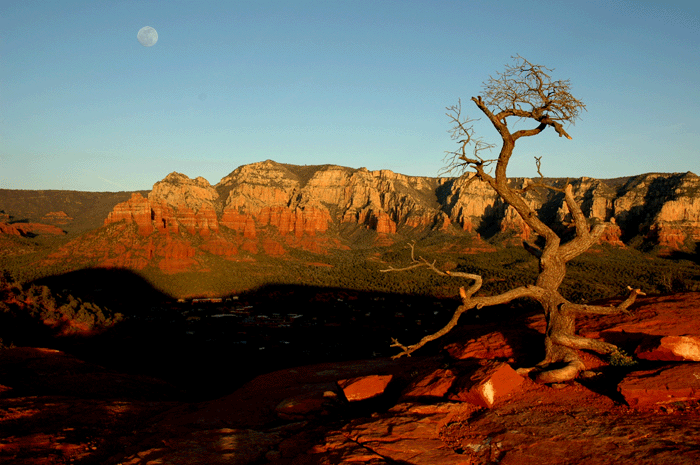 Sentry in Sedona